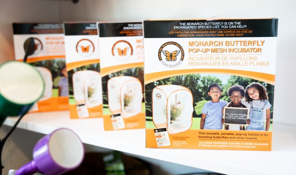 Monarch butterfly kits