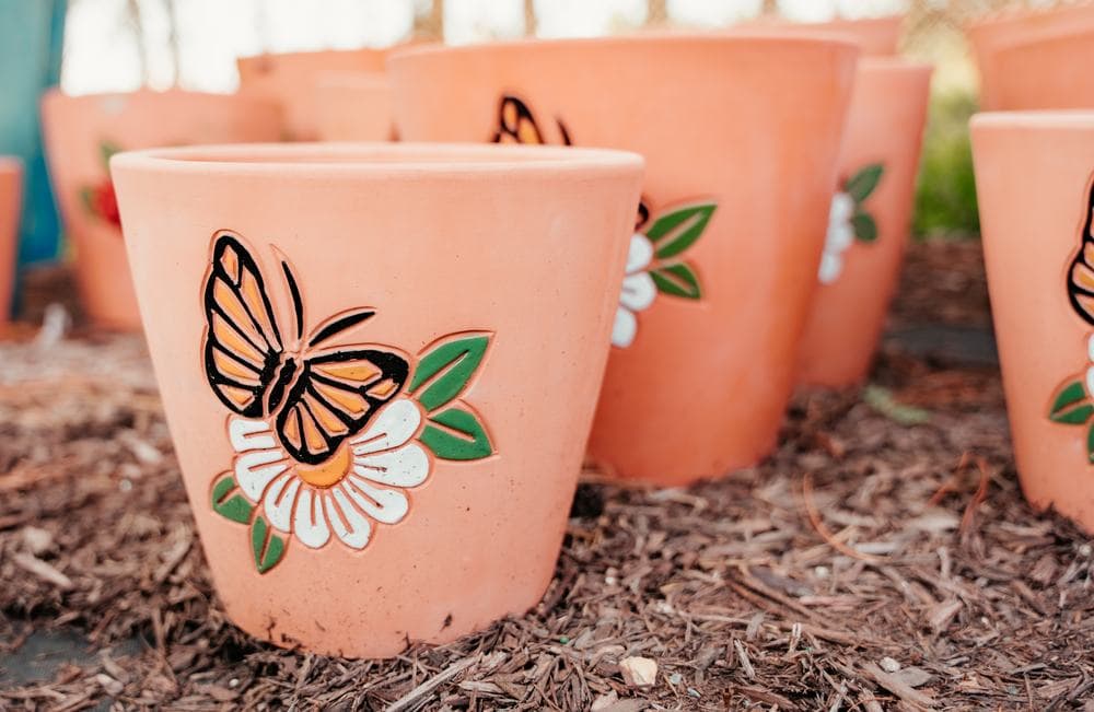 Butterfly painted pots