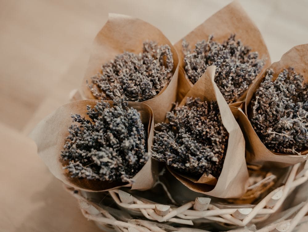 Lavender wrapped in paper