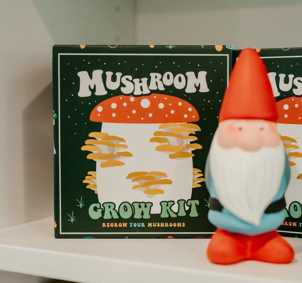 Mushroom grow kits
