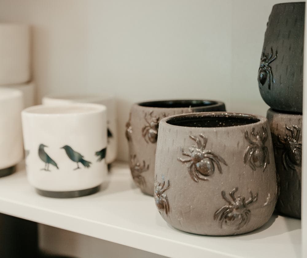 Spider and crow planters
