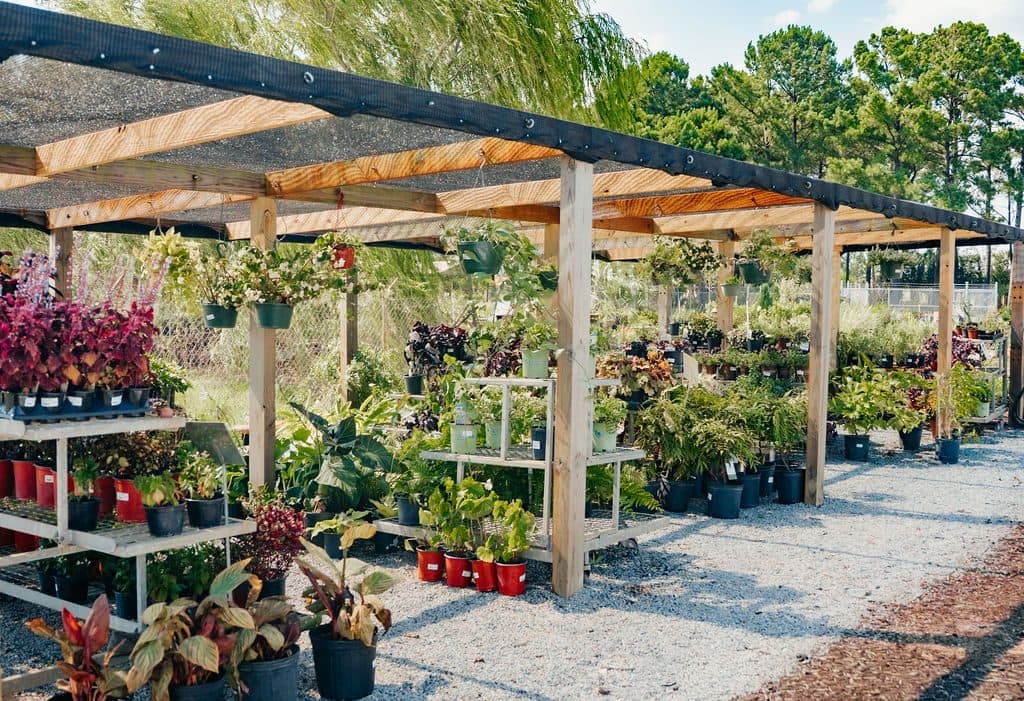 The covered aisle
