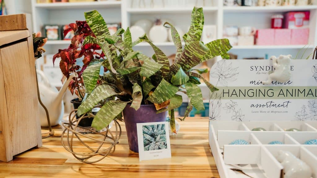 Hanging planters