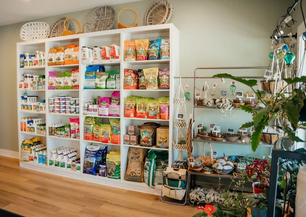 The seed wall