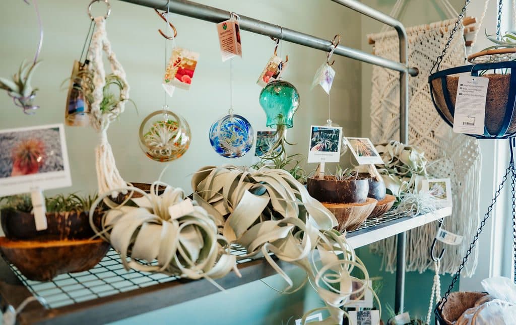 Suncatchers