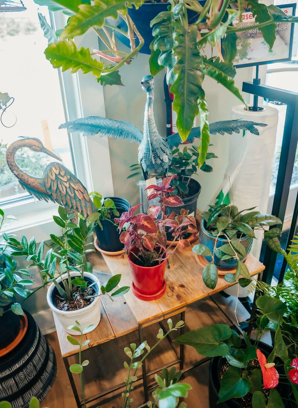The window stand