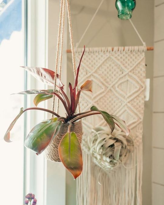 Hanging planters