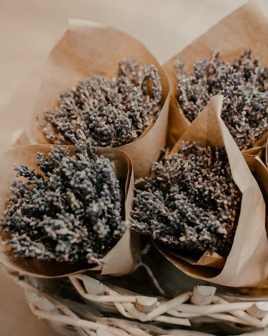 Lavender wrapped in paper