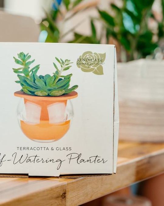 Self watering planters
